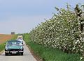 Follow the leader op 13-4-2014 org. Jos & Marie-lou (51)